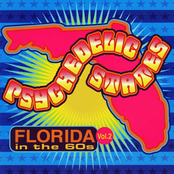 Psychedelic States: Florida In The 60s, Vol. 2