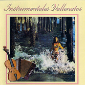 Vallenatos Instrumentales