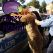 Furry Hentai