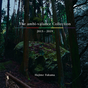 The ambi-valance Collection 2015-2019
