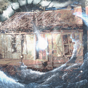 Crowrvdix : Chlorosis