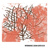 Impermanence