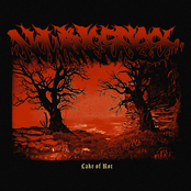Lake of Rot - Single
