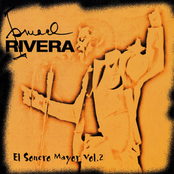 Te Lo Voy A Contar by Ismael Rivera