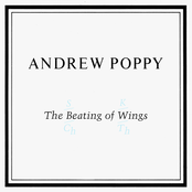 Listening In by Andrew Poppy