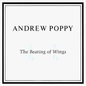 The Beating Of Wings