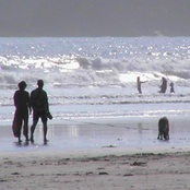 coated in mist, dipped in mud