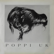 Poppi UK