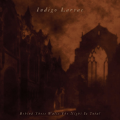 The Night Is Darkening Round Me by Indigo Larvae