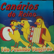 Tão Pedindo Vaneirão
