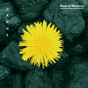 Book of Memory