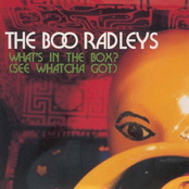 Flakes by The Boo Radleys
