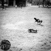 Yosemite In Black: Pretty as a Peach