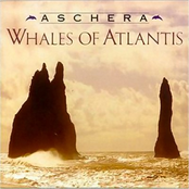 Whales Of Atlantis by Aschera