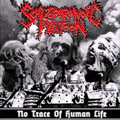 No Trace Of Human Life