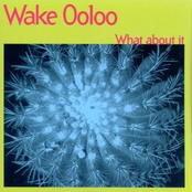 Hard To Find by Wake Ooloo