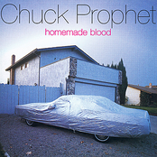 Textbook Case by Chuck Prophet