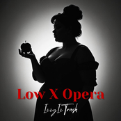 Low x Opera