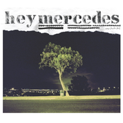 Roulette Systems by Hey Mercedes