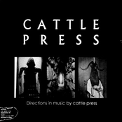 Directions in Music by Cattle Press
