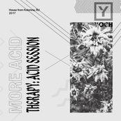 Therapy Acid Session