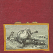 Motherfucker, I am Both: "Amen" and "Hallelujah"...