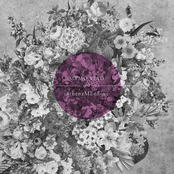 SIRMO STAD : inthenaMEoflove SPLIT