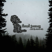 Forest Journey ...and the cloven echo