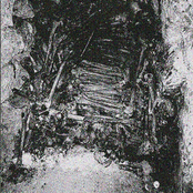 .​.​.of Rotting Soil and Spine