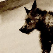 two summers (2016-2018)