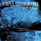 Simple Sound Waves