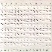 Purity And Control by Giants Chair