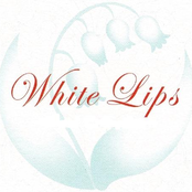 White-lips