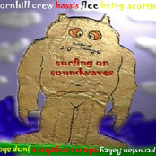 surfing on soundwaves