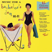 Music For A Bachelor's Den, Volume 1