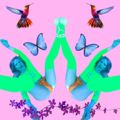 ele me fode no automotivo