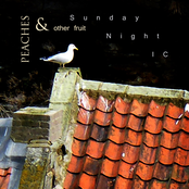 Peaches & Other Fruit