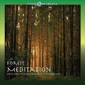 Forest Meditation