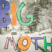 Big Moth