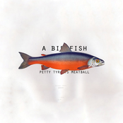 A Birdfish