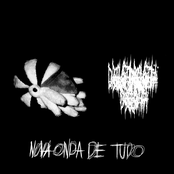 Nova Onda de Tudo