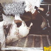 Morbid Fascination when viewing a Human Disaster