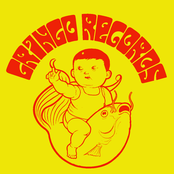 FREE! Gringo Sampler