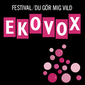 Festival