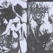 Bukkake Violence Kommando / Deep Fried Embryo