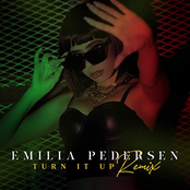 Turn It Up (Remix)