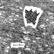 Putrid Waters