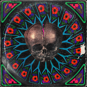 Superbloom: I Loved Everyone