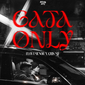 Gata Only - Single