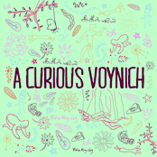 a curious voynich